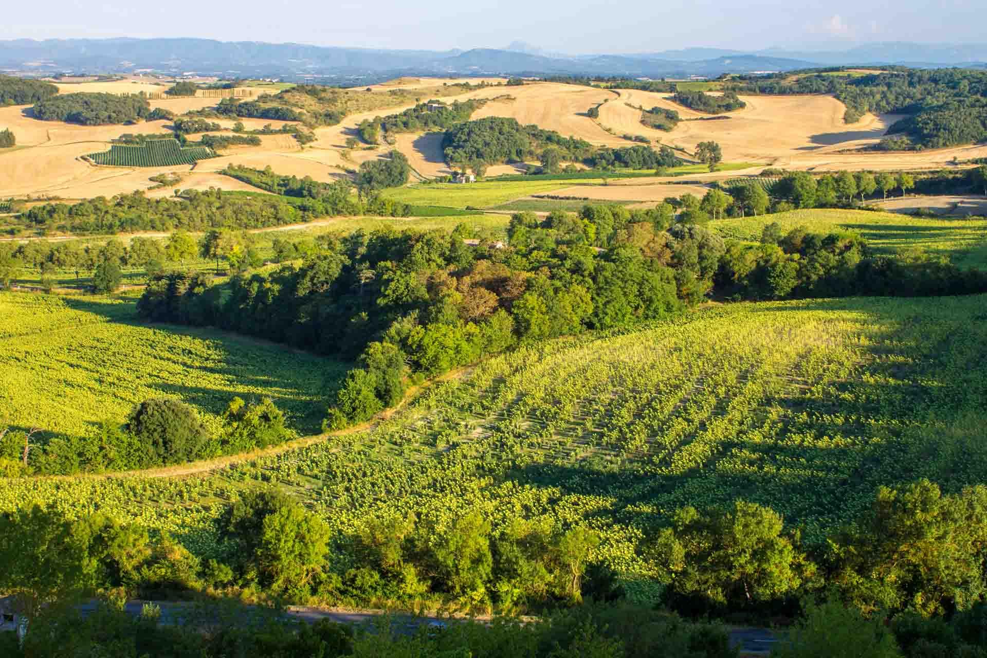 Week-end Dans L’Aude Entre Luxe Et Authencité